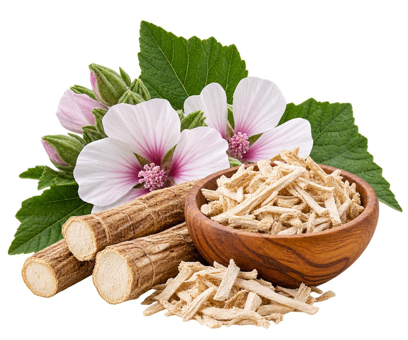 Marshmallow Root